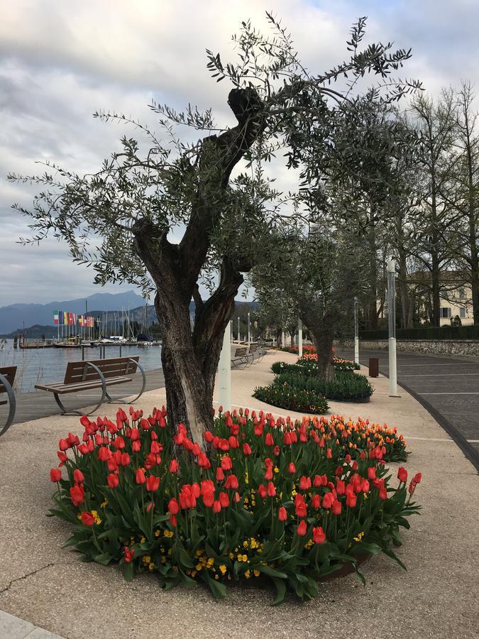 Caba Holiday Bardolino D'Annunzio Exterior foto